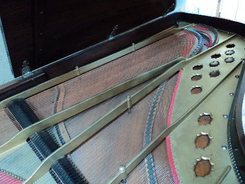 Steinway 7'2 20500 1