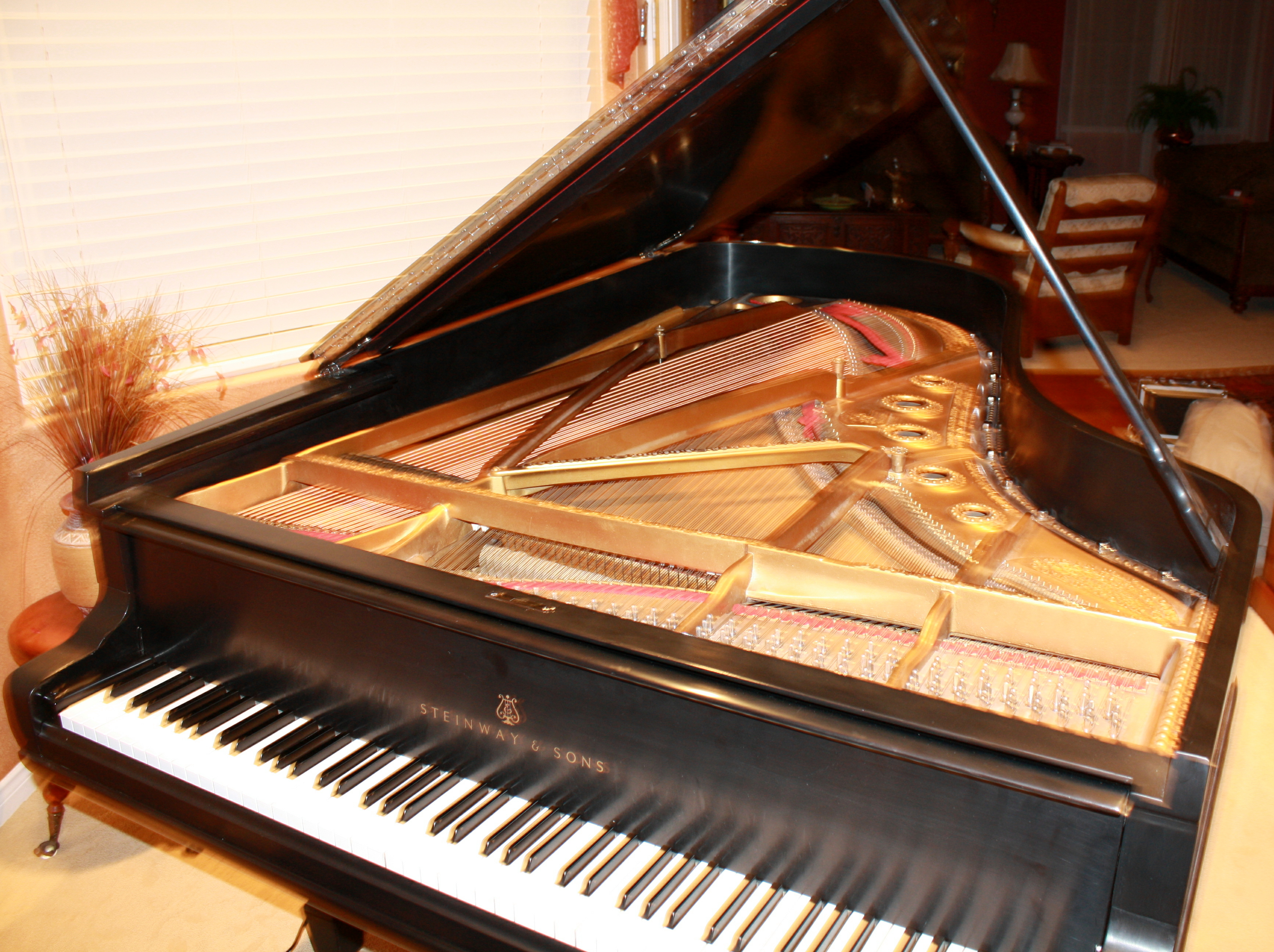 Steinway B 74432 Plate