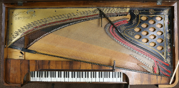 Steinway 1301 Lorenzo Lacovera