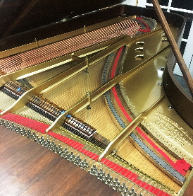 Steinway 24681 interior