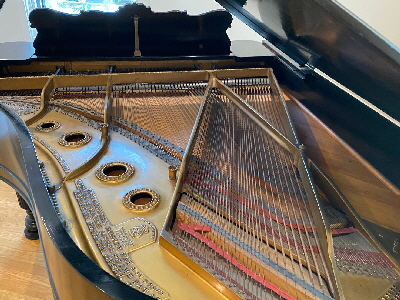 Steinway A1 1886 3