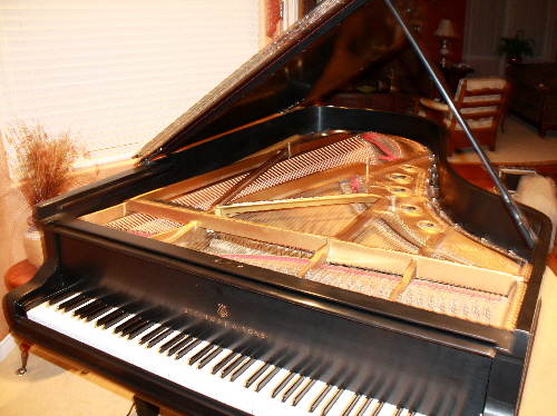 Steinway B 74432 Plate