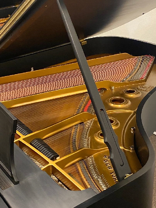 Steinway L 366297 belly